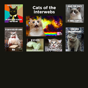 Cats of the Interwebs